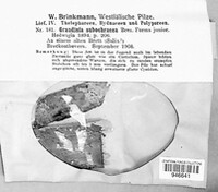 Image Associated With the Occurence